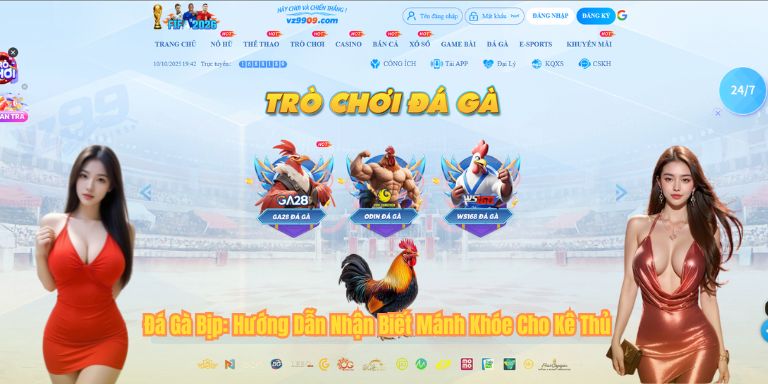 Đá Gà Bịp: Hướng Dẫn Nhận Biết Mánh Khóe Cho Kê Thủ